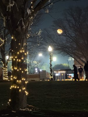 Wake Forest University by null