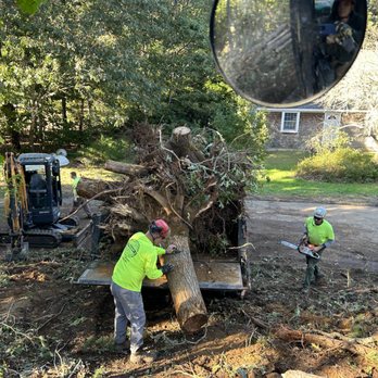 Treeworks - Tree Services Near Me