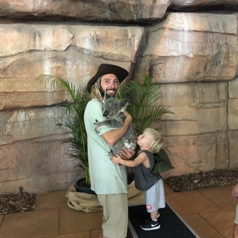 Australia Zoo - Holding the koala! - Zoos Near Me - Beerwah, QLD