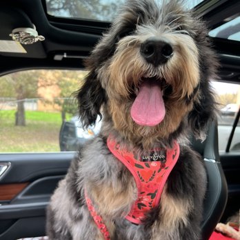 Pooches Day Spa - Pet Groomers Near Me - Boerne, Texas Pooches Day Spa - Pet Groomers Near Me - Boerne, Texas