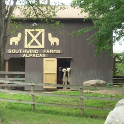 Southwind Farms - Southwind Farms Alpacas