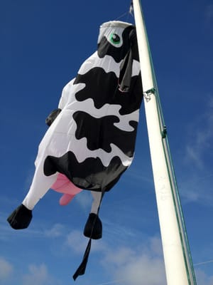 Kitty Hawk Kites by null