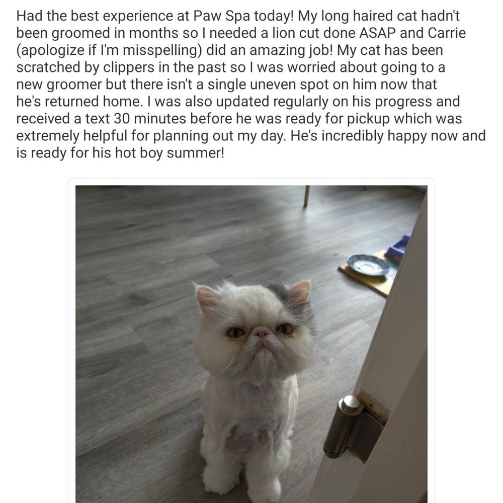 Meeow Chicago - Lincoln Park - Second opinion on his temperament. Go to Paw Spa in Virginia instead of Meeow!! - Pet Groomers Near Me - Chicago, Illinois Meeow Chicago - Lincoln Park - Second opinion on his temperament. Go to Paw Spa in Virginia instead of Meeow!! - Pet Groomers Near Me - Chicago, Illinois