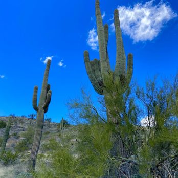 Sonoran Preserve - Hiking Near Me - Phoenix, Arizona