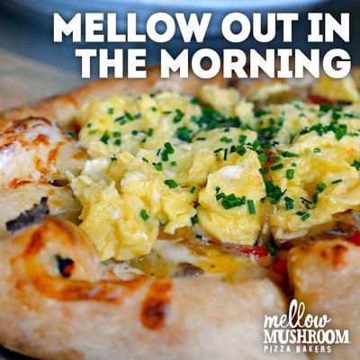 Mellow Mushroom St. Louis by null