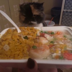 301 Chinese Restaurant - Fried rice Shrimp and lobster sauce under 30 minutes they will come it's a very good Chinese store