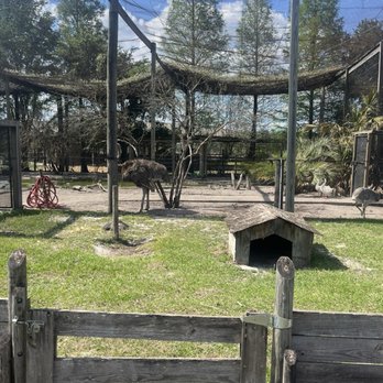 Safari Wilderness Ranch - Tours Near Me - Lakeland, Florida Safari Wilderness Ranch - Tours Near Me - Lakeland, Florida