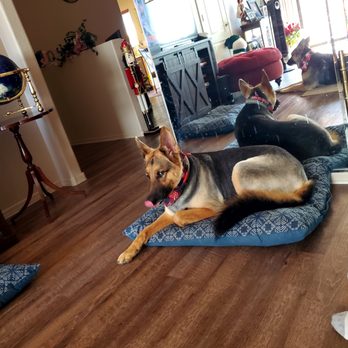 Nings Animal House - Pet Groomers Near Me Nings Animal House - Pet Groomers Near Me