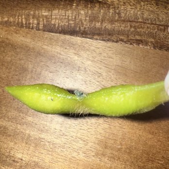 Yi Sushi - Edamame - Sushi Bars Near Me - El Cajon, California Yi Sushi - Edamame - Sushi Bars Near Me - El Cajon, California