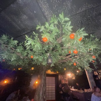 Wild Orange - Inside - Cocktail Bars Near Me - Honolulu, Hawaii Wild Orange - Inside - Cocktail Bars Near Me - Honolulu, Hawaii