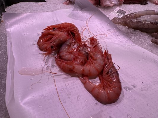 Mercat Central d'Alacant by null