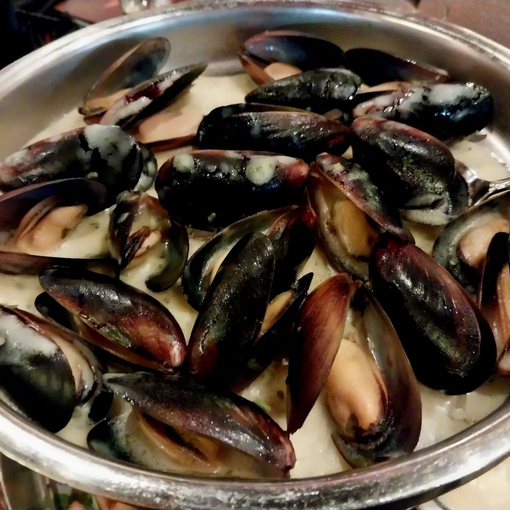Briquette - Mussels - Seafood Near Me - New Orleans, Louisiana Briquette - Mussels - Seafood Near Me - New Orleans, Louisiana