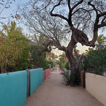 Cabo Pulmo Beach Resort and Dive Shop - Walkway - Resorts Near Me - Los Cabos, BCS