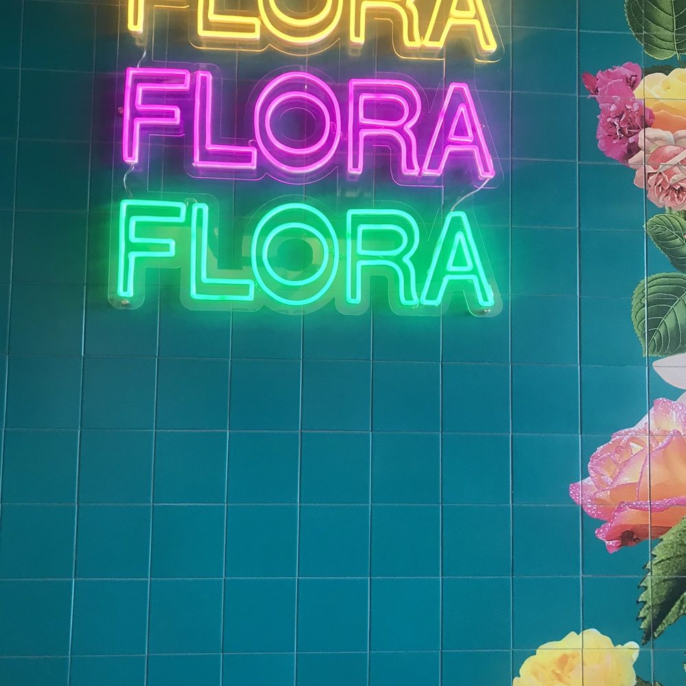 Flora - Mexican Near Me - Albuquerque, New Mexico Flora - Mexican Near Me - Albuquerque, New Mexico