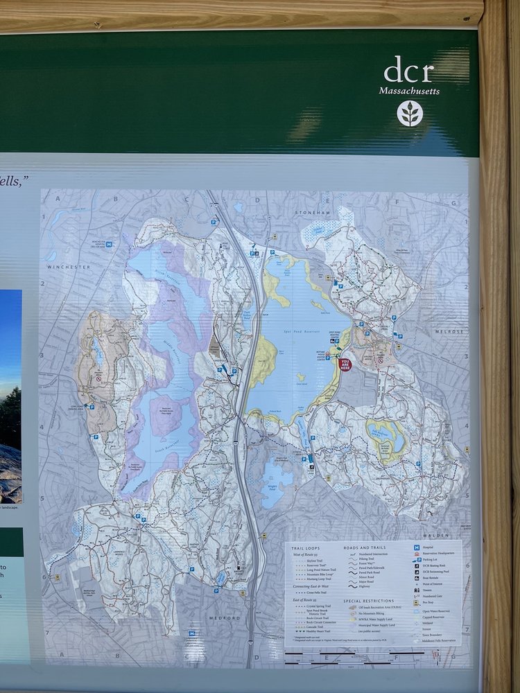 BOATING IN BOSTON Updated August 2024 26 Photos & 20 Reviews 4