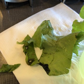 Red Flame - Wilted and moldy salad. - Hot Pot Near Me - Westminster, California Red Flame - Wilted and moldy salad. - Hot Pot Near Me - Westminster, California