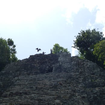 Zona Arqueológica de Cobá - Zopilotes al acecho - Landmarks & Historical Buildings Near Me - Cobá, ROO