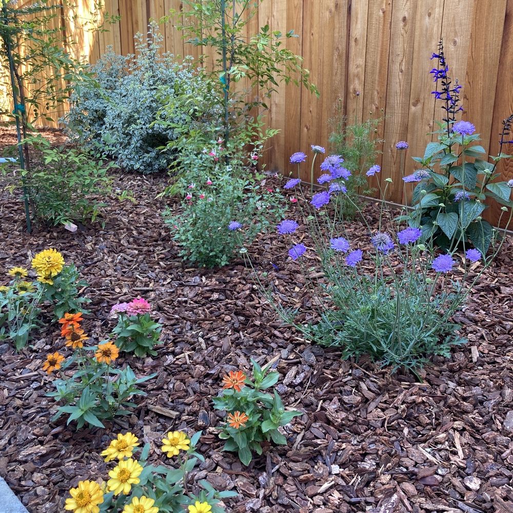 Integral Landscapes - a flower bed with purple and yellow flowers - Landscaping Near Me Integral Landscapes - a flower bed with purple and yellow flowers - Landscaping Near Me