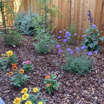 Integral Landscapes - a flower bed with purple and yellow flowers - Landscaping Near Me