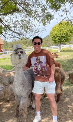 Canzelle Alpacas by null