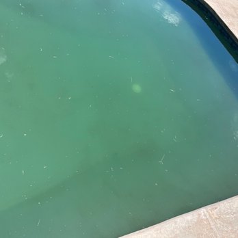 Spartan Pool & Patio - Green water, sediment on the floor. - Pool & Hot Tub Service Near Me - Norman, Oklahoma