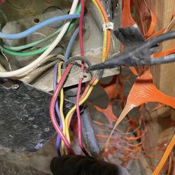 Blue Wire Electric