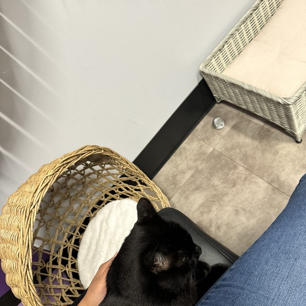 Summit Veterinary Care - Exam room with my buddy! - Veterinarians Near Me - Bristow, Virginia Summit Veterinary Care - Exam room with my buddy! - Veterinarians Near Me - Bristow, Virginia