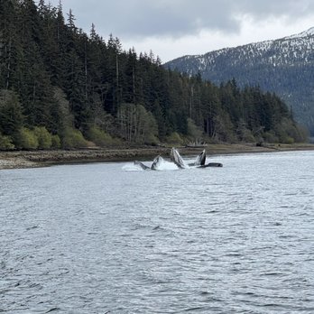 Glacier Wind Charters - Fishing Near Me Glacier Wind Charters - Fishing Near Me