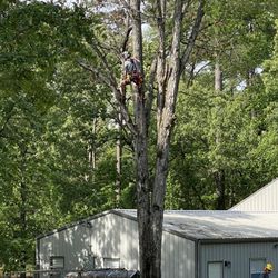 H&H Lumberjack