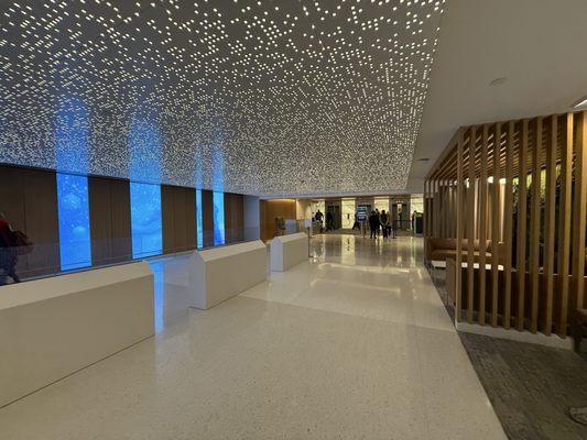 Mayo Clinic by null