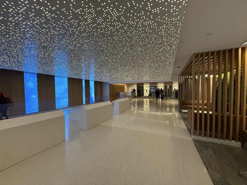 Mayo Clinic - grief counselor in Rochester, MN