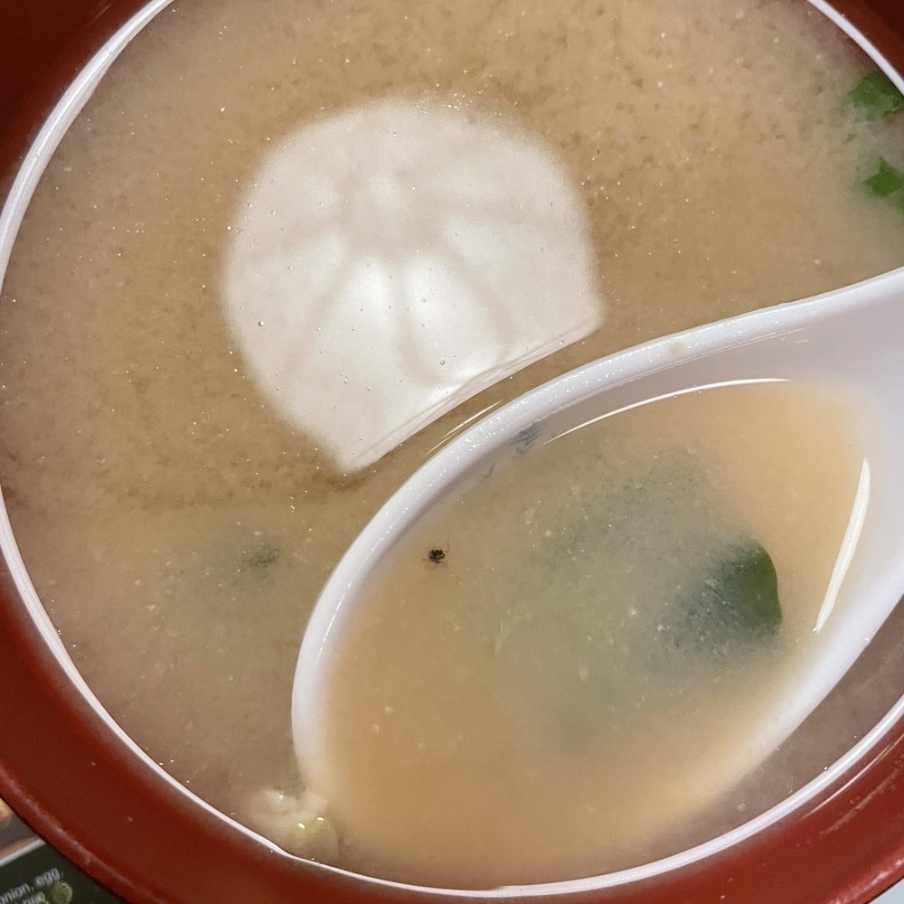 Kyoto - Tiny bug in my miso soup - Japanese Near Me - Santa Barbara, California