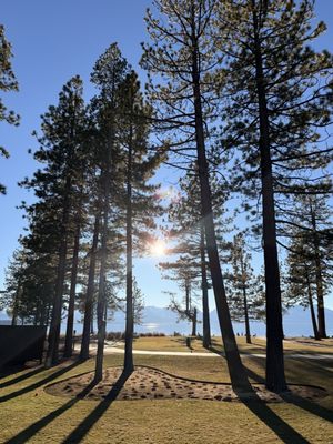 Spa Edgewood by null