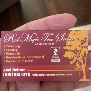 Red Maple Tree Service - Abel is the man! - Tree Services Near Me - San Diego, California Red Maple Tree Service - Abel is the man! - Tree Services Near Me - San Diego, California