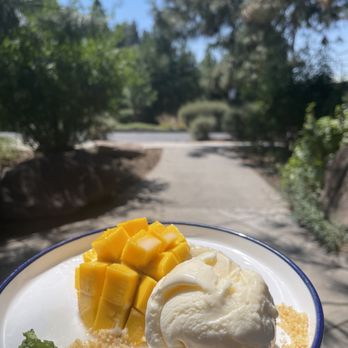 Dear Mom Cafe - Mango Sticky Rice (seasonal) - Thai Near Me - Bend, Oregon