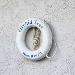 Orchid Tree Bed & Breakfast