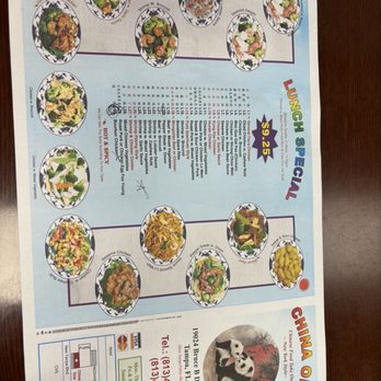 China One - Chinese Near Me - Tampa, Florida China One - Chinese Near Me - Tampa, Florida