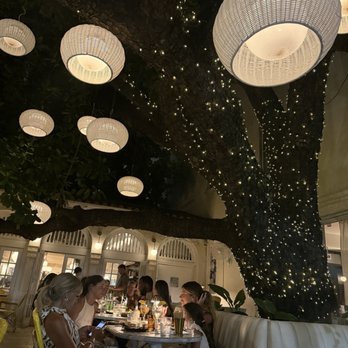 Motek - Downtown - Outside seating - Cafes Near Me - Miami, Florida Motek - Downtown - Outside seating - Cafes Near Me - Miami, Florida
