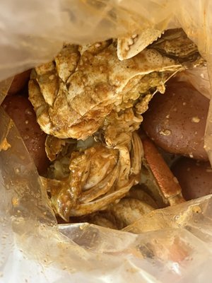 Holly Crab Mad For Chicken by null