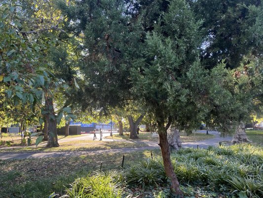 Herbert Von King Park by null