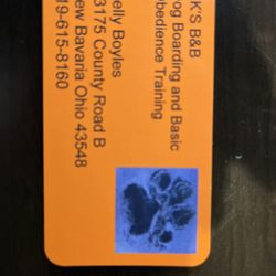 KK’S B&B Dog Boarding And Basics