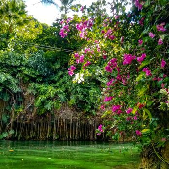 Xenotes Oasis Maya - Tours Near Me