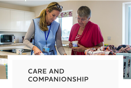 Home Helpers Home Care of St. Louis - home care agency in Chesterfield, MO