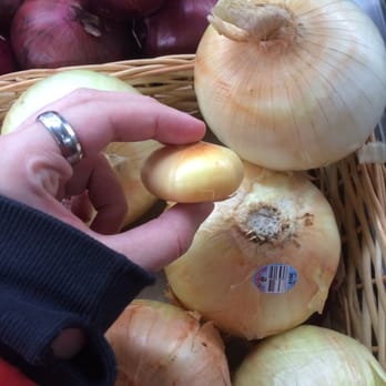 Chez Louis - Tiny onion. - Fruits & Veggies Near Me - Montreal, Quebec
