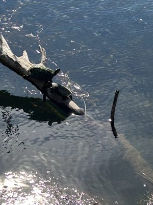 Butler Metro Park by null