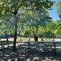 Photo of Central Park