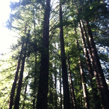 Joaquin Miller Park - Parks Near Me - Oakland, California