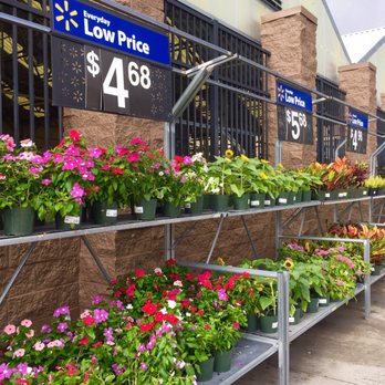 Walmart - Plants for a steal - Grocery Near Me - Kailua Kona, Hawaii