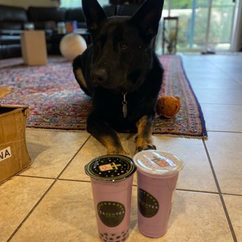 TeaZenTea - Princess Taro Black Milk Tea - Coffee & Tea Near Me - Brentwood, California TeaZenTea - Princess Taro Black Milk Tea - Coffee & Tea Near Me - Brentwood, California