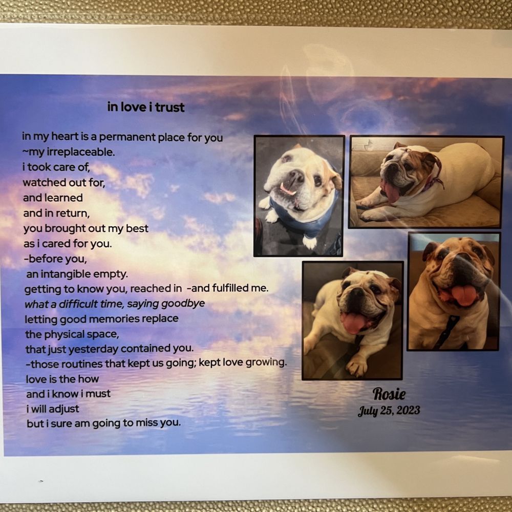Small Paws Cremations - Pet Cremation Services Near Me - Los Angeles, California Small Paws Cremations - Pet Cremation Services Near Me - Los Angeles, California